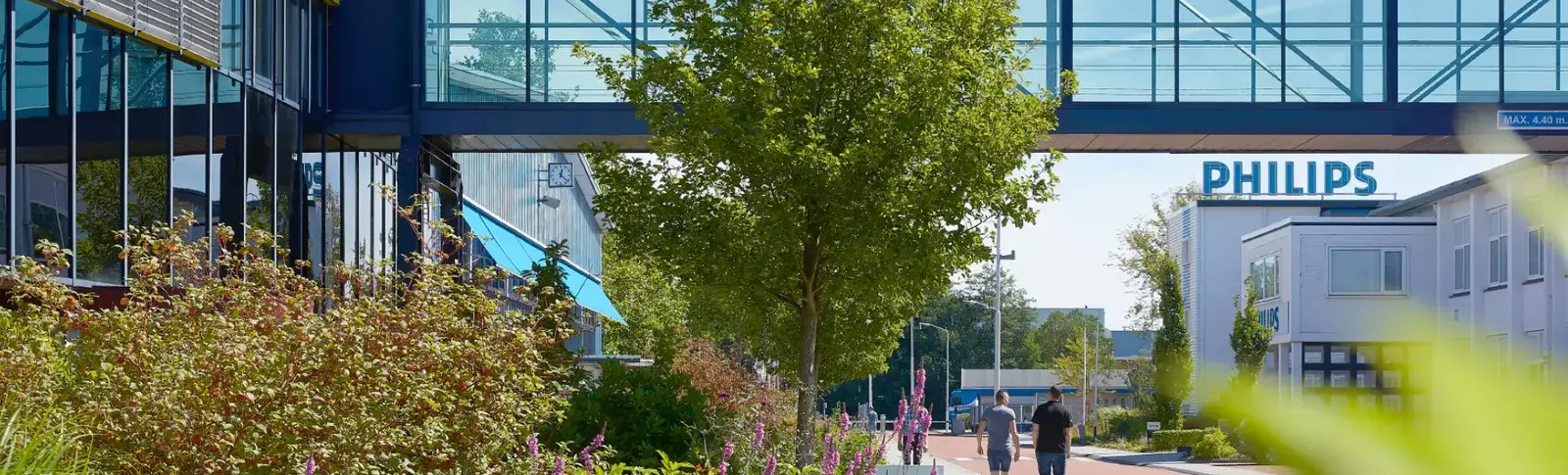 The Philips site in Drachten