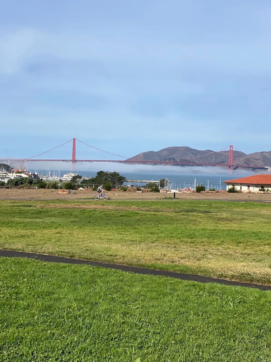 The Golden Gate Bridge in the fog, seen from a park